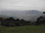 IMG_7800