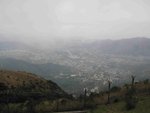IMG_7806