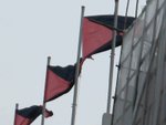 IMG_0019