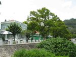 IMG_1095