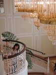 IMG_3781