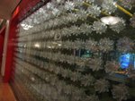 IMG_3812