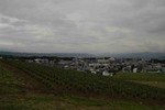 DSC_0551