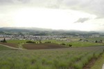 鵔髜埁- 附遝∣-0579