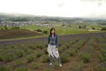 鵔髜埁- 附遝∣-0582