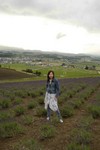鵔髜埁- 附遝∣-0583