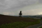 鵔髜埁- 附遝∣-0586