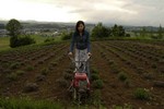 鵔髜埁- 附遝∣-0587