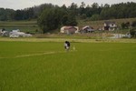 鵔髜埁- 附遝∣-0589