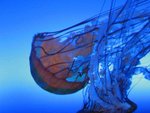 IMG_4694