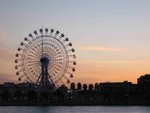IMG_6344
