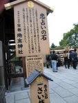 IMG_6538