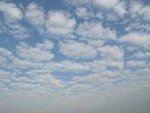 IMG_7639