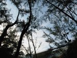 IMG_7663
