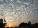 IMG_8031