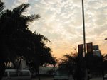 IMG_8033