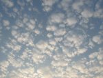 IMG_8036