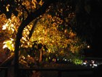 IMG_7833