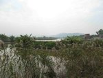 IMG_7871