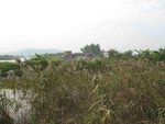 IMG_7872