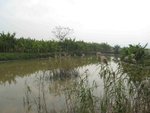 IMG_7874