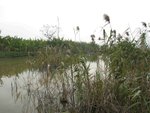 IMG_7878