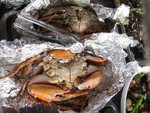 鹽焗蟹