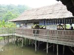 IMG_7867