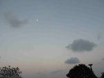 IMG_8479