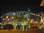 IMG_0181