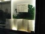 IMG_0063