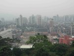 IMG_1800