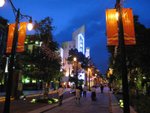IMG_2954