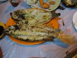 IMG_3095