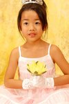 yy0169