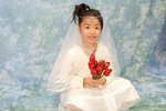 yya0176