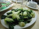 白菜仔