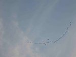 IMG_1063
