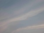 IMG_1066
