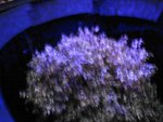 IMG_0620