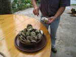 IMG_0997