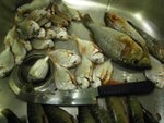IMG_1880