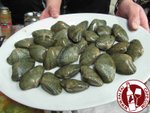 JJJJ1283