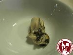 火鍋蠔