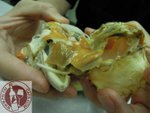 DSCN0217