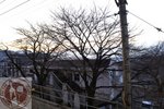 DSC03114