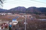 DSC03116