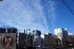 DSC01541