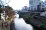 DSC01544