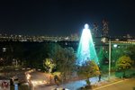 DSC03638